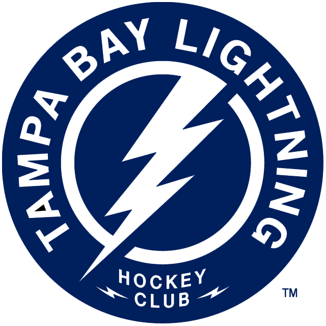 Tampa Bay Lightning 2011-Pres Alternate Logo iron on heat transfer...